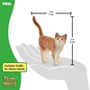 schleich FARM WORLD Katze, 3 Jahr(e), Cats, Farm animals / Produktbild-Vorschau 5