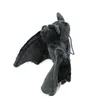 A stuffed toy bat is shown against a white background. Produktbild-Vorschau