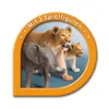 Ravensburger tiptoi Spielfigur Tierwelt Tier-Set Löwen Produktbild-Vorschau 4