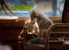 Der Wolf und der Löwe Náhľad obrázku produktu 5