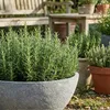 PFLANZWERK® Pflanzschale Pflanzkübel BOWL Ø 45cm LAVA Produktbild-Vorschau 7