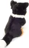 Teddy-Hermann Teddy Hermann Border Collie tricolore seduto, Anteprima dell’immagine prodotto 4