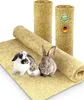 Nagerteppich aus 100% Hanf, 120 x 60cm, 5mm dick, Produktbild-Vorschau 1