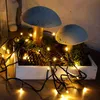 HELLUM luci fiabesche 80 LED bianco caldo per esterni Anteprima dell’immagine prodotto 2