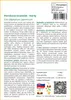 SAFLAX - perníkový stromček - Cercidiphyllum japonicum - Náhľad obrázku produktu 3