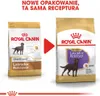 Royal Canin Labrador Retriever Sterilised, Dorosły, Podgląd zdjęcia produktu 3