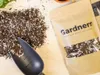 Gardners Substrát pro sukulenty a kaktusy, 50 l Náhled obrázku produktu 3
