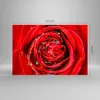 Bilder auf glas - Rose Blume Blütenblätter Tau - 120x80cm - Produktbild-Vorschau 3