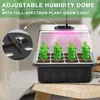 A plant seedling starter kit with a grow light is shown on a table. Anteprima dell’immagine prodotto