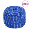 vidaXL Corda da barca blu 10 mm 100 m polipropilene Anteprima dell’immagine prodotto 6