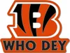 NFL Universal Schmuck Caps PIN Cincinnati Bengals SLOGAN Podgląd zdjęcia produktu 1