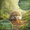 Mehlwürmer 10 L getrocknet im Eimer Wildvogelfutter Vögel Produktbild-Vorschau 5