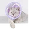 INF Halsband für Hunde und Katzen – verstellbare Passform S Produktbild-Vorschau 9