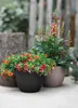 Pflanzkübel geli Rimini Kunststoff Ø 60 cm H 45,5 cm Produktbild-Vorschau 2