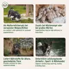 AniForte Ziegenmilch Pulver für Hunde & Katzen 500 g - Produktbild-Vorschau 4