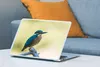 MuchoWow® Laptop Aufkleber Sticker Cover Eisvogel - Zweig - Produktbild-Vorschau 4