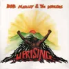 Marley,Bob & The Wailers-Uprising (Limited LP) Produktbild-Vorschau 3