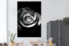 MuchoWow® Poster Blumen - Schwarz - Rose - Weiß - Botanisch Produktbild-Vorschau 2