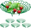 Relaxdays Maturatore per fragole, set da 6, protezione Anteprima dell’immagine prodotto 1