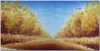 Coloray Küchenrückwand 120x60 Spritzschutz aus Glas - Wald Produktbild-Vorschau 1
