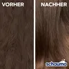 Schauma Sprüh Spülung Repair und Pflege Produktbild-Vorschau 9