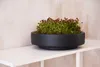 VIVANNO Dekoschale Fiberglas ESCADA LOW Schale, Anthrazit Produktbild-Vorschau 8