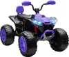 AIYAPLAY 24V Elektro Quad für Kinder, Kinderquad mit Produktbild-Vorschau 1