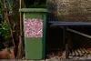MuchoWow® Mülltonnenaufkleber Blumen - Rosen - Natur - Rosa Produktbild-Vorschau 5