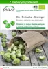 SAFLAX - Bio - Brukselka - Groninger - 30 Nasiona - Z Podgląd zdjęcia produktu 1