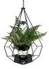 DanDiBo Blumenampel Innen Metall Wand Hängepflanzen 82 cm Produktbild-Vorschau 3
