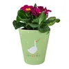Gans Blumentopf mit einer Blumenwiese Produktbild-Vorschau 2