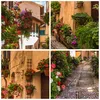 Poster - Poster ohne Rahmen - Path Blumen Haus Hof - 30x30 Produktbild-Vorschau 8