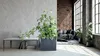 A modern living room with large windows, brick walls, and a sofa, featuring a large potted plant in the foreground. Voir les images du produit
