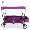 FUXLIFE by FUXTEC Bollerwagen FX-CT350 Purpur | faltbarer Produktbild-Vorschau 6