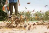 Stihl BG 56, Handgehaltenes Gebläse, 255,6 km/h, 255,6 Produktbild-Vorschau 9