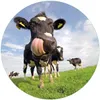 Wallario Premium Glasbild, freischwebende Optik, kräftige Produktbild-Vorschau 1