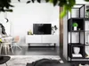 Loft TV-Schrank TV-Lowboard Enjoy Zweitürig Schwarze Metall Produktbild-Vorschau 12