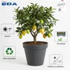 Pot polypropylène EDA 13611 v.la Diam.48 L.0 x H.39 cm vert Voir les images du produit 9