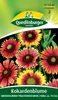 Kokardenblume, Großblumige Prachtmischung Produktbild-Vorschau 3