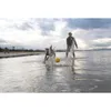 Waboba Dog Fetch giocattolo per cani 1s Anteprima dell’immagine prodotto 6