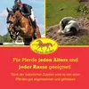 Scheidler horse-direkt Ingwer-Teufelskralle Liquid, für Produktbild-Vorschau 3