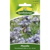 Quedlinburger Saatgut - Phacelia Bienenfreund - Semi - Anteprima dell’immagine prodotto 1
