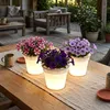 2er Set LED Solar-Blumentöpfe zur Produktbild-Vorschau 3
