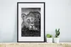 MuchoWow® Gerahmtes Poster Wildtiere - Löwe - Natur - Produktbild-Vorschau 4