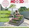 MODO24 Hochbeet Holz, Pflanzkasten, Massivholz, Kiefer, Produktbild-Vorschau 2