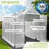 BRAST Gewächshaus Aluminium mit Fundament | 310x250x235cm | Produktbild-Vorschau 3