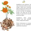 Ringelblumen Samen (Calendula Officinalis) - Vielseitige Produktbild-Vorschau 6