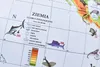 Zoologický glóbus se zvířaty 22 cm Náhled obrázku produktu 7