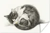 MuchoWow® Poster Schlafende Katze zusammengerollt - Gemälde Produktbild-Vorschau 1