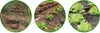 100m Bewässerungssystem DIY Gartenbewässerung Produktbild-Vorschau 9